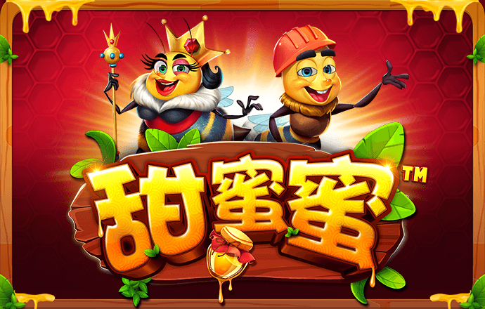 赛酷体育手机版下载